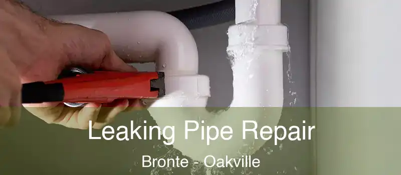 Leaking Pipe Repair Bronte - Oakville